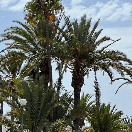 Appartement San Agustin , Close To The Beach, With Pool! *